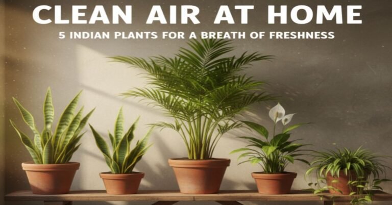 5 Best Air Purifier Plants जो घर की हवा बदल देंगे